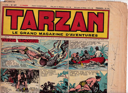 C 16) "Tarzan" > 5 Ième Année > 1950 > N° 207 > (Nouveau 6  Pgs R/V > FT 380 X 290 Mm - Tarzan