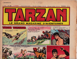 C 16) "Tarzan" > 5 Ième Année > 1950 > N° 208 > (Nouveau 6  Pgs R/V > FT 380 X 290 Mm - Tarzan