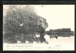 AK Wulfsmühle B. Pinneberg, Ruderbootpartie Auf Dem Mühlenteich - Pinneberg