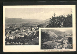 AK Bad Leutenberg I. Thür., Blick In Das Sormitztal Und Das Alexandrabad - Leutenberg