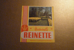 Buvard Reinette 3 - Produits Alimentaires Et De Régime "Parc De Keukenhoff - Pays Bas - Tulipes Et De Narcises. - Koek & Snoep