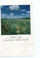 Photo Larry Kanfer Prairie Grass - Middle América Sinclair Lewis 14 & Armadillo 22 Recto-verso Timbres Année 1988 - Springfield – Illinois