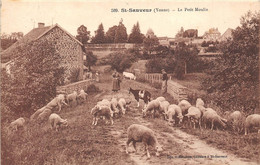 89-SAINT-SAUVEUR- LE PETIT MOULIN - Saint Sauveur En Puisaye