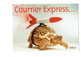 Cpm - Courrier Express - Fusée - Tortue - Feeling Combier - Schildkröten