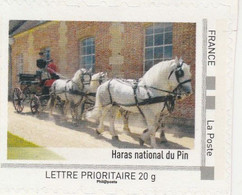 HARAS DU PIN    61        MINT - Collectors