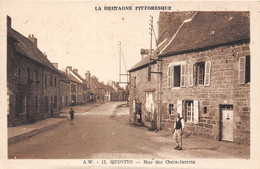 22-QUINTIN- RUE DES CROIX-JARROTS - Quintin