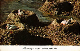 CPM AK Flamingo Nests BONAIRE (750227) - Bonaire