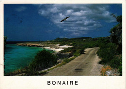 CPM AK Vue Générale BONAIRE (750237) - Bonaire