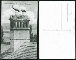 1141 - AUSTRIA / STORCH IDYLLE In Jennersdorf Im Burgenland / Stork CIGOGNE - Postal Postcard 1920s - Jennersdorf