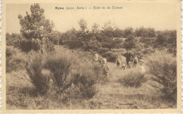 NYJLEN - NIJLEN : Zicht In De Duinen - Cachet De La Poste 1939 - Nijlen