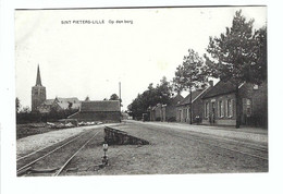 SINT PIETERS-LILLE   Op Den Berg  Uitg. Sas-Mercelis   Foto Meulemans,Rethy - Lille