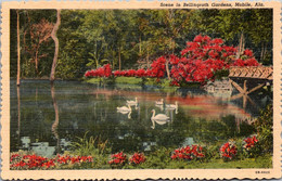 Alabama Mobile Beautiful Scene In Bellingrath Gardens Curteich - Mobile