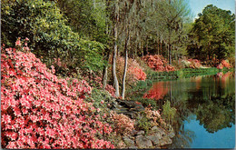 Alabama Mobile Scene In Bellingrath Gardens - Mobile