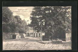AK Kellinghusen, Friedenseiche Und Denkmal 1870 /71 - Kellinghusen