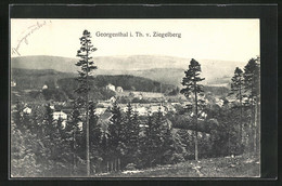 AK Georgenthal I. Th., Panoramablick Vom Ziegelberg - Georgenthal
