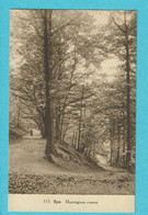 * Spa (Liège - Luik) * (Photo Belge Lumière Rhode St Genese, Nr 113) Montagnes Russes, Bois, Bos, Old, Rare - Sankt Vith