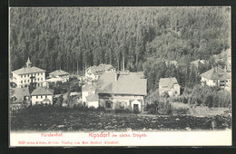 AK Kipsdorf / Erzgeb., Hotel Fürstenhof Aus Der Vogelschau - Kipsdorf