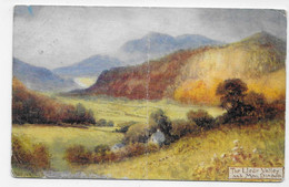 (RECTO / VERSO) THE LLEDR VALLEY AND MOEL SIABOD EN 1910 - PLI VERTICAL - BEAU CACHET - CPA COULEUR - Merionethshire