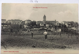 Cpa Animée, -31- Saint Gaudens - Vue Générale N 2 (Métiers - Agriculture -) - éd Labouche Non écrite La Haute Garonne - Saint Gaudens