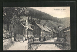 AK Wildemann /Harz, Ortspartie, Kinder Auf Der Kleinen Brücke - Wildemann