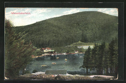 AK Bad Lauterberg, Blick Auf Den Wiesenbekerteich Mit Ruderern - Bad Lauterberg