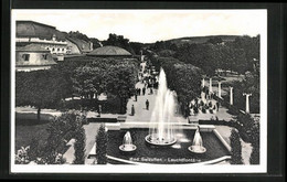 AK Bad Salzuflen, Leuchtfontäne Mit Allee - Bad Salzuflen