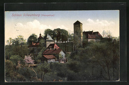 AK Rinteln, Blick Auf Das Schloss Schaumburg Im Wesergebirge - Schaumburg