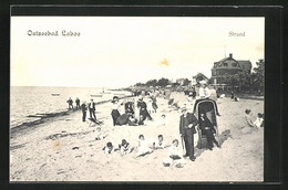 AK Laboe, Strandleben An Einem Sommertag - Laboe