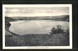 AK Daun /Eifel, Weinfelder Maar - Daun