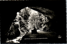 11773 - Oberösterreich - Obertraun , Ausblick Aus Der Koppenbrühler Höhle - Nicht Gelaufen - Traun
