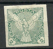 TSCHECHOSLOWAKEI Czechoslovakia 1918 Michel 13 * Newspaper Stamp - Sellos Para Periódicos