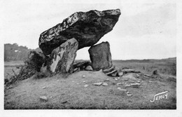 Brétignolles-sur-Mer Le Dolmen De Pierre-Levée Menhirs Dolmens - Bretignolles Sur Mer