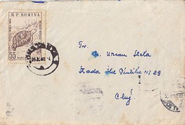 GREEK TORTOISE, WAVY LINES CANCELLATIONS ON COVER, 1960, ROMANIA - Covers & Documents