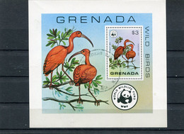 GRENADA 1978 WWF SHEET CTO. - Usati