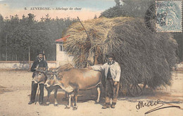 Divers Auvergne     63         Attelage De Char. Transport De Foin    Hirondelle N° 9     (voir Scan) - Auvergne Types D'Auvergne