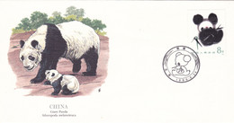 PANDA GEANT Et Son Petit LETTRE De CHINE Du 24 MAI 1985 (FDC) Flora And Fauna Of The World - 1980-1989