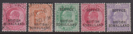 1903. BRITISH SOMALILAND. Edward VII. Selection With 5 Stamps, 2 Cancelled And 3 Hing... (Michel 19+) - JF422112 - Somalilandia (Protectorado ...-1959)