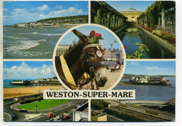 ( WESTON SUPER MARE )( ANGLETERRE ) ( ANES - Weston-Super-Mare