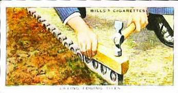 ► GARDEN HINTS - Image Chromo WILL'S CIGARETTE Imperial Tobacco - Wills