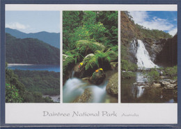 Daintree National Park Australia, Cowie Point, Forêt Tropicale, Chutes De Bloomfield Carte Postale Neuve - Far North Queensland