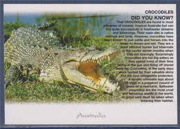 Les Crocodiles En Australie, Connaissez Vous Carte Postale Neuve - Autres & Non Classés
