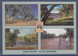Vues De La Rivière Todd, Alice Springs,  Australie, Carte Postale Neuve - Alice Springs