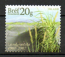 ISLANDE. Timbre De 2007 Oblitéré. Office National De Boisement. - Used Stamps