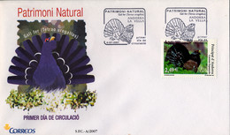 2007 , ANDORRA  - CORREO ESPAÑOL , ED. 348 , PATRIMONIO NATURAL , AVES , UROGALLO - Other & Unclassified