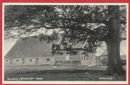 NL.- Winterswijk, Boerderij - WESSELINK -. MEDDO. Uitg. Boekhandel G.J. Albrecht, Foto J.H. Te Hofstee - Winterswijk