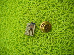 2052  PINS  Pin's     FNMTASIC  FN MT ASIC  Patinage Artistique  Couple - Kunstschaatsen