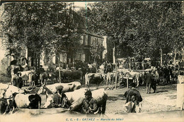 Orthez * La Place Et Le Marché Au Bétail * Foire Aux Boeufs * Marchands - Orthez