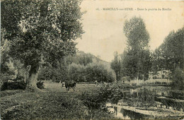 Marcilly Sur Eure * Dans La Prairie Du Moulin - Marcilly-sur-Eure