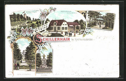 Lithographie Kirchheimbolanden, Restaurant Schillerhain, Sulzbachpavillon, Aussichtsturm Mit Spielplatz - Kirchheimbolanden