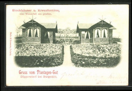 AK Göppersdorf B. Burgstädt, Plantagen-Gut, Blockhäuser U. Kreuzfontäne - Burgstädt